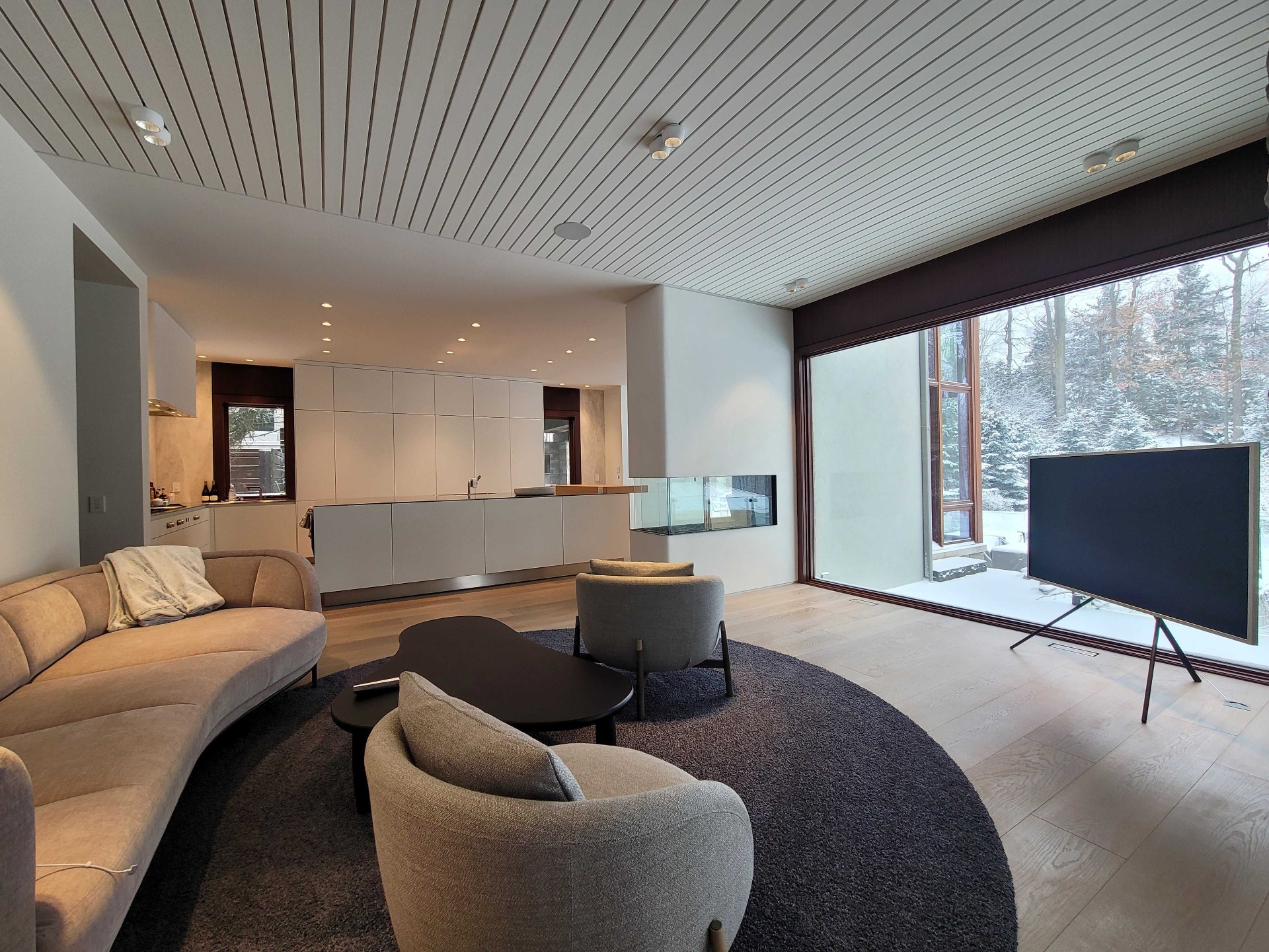 Great room with concealed AV