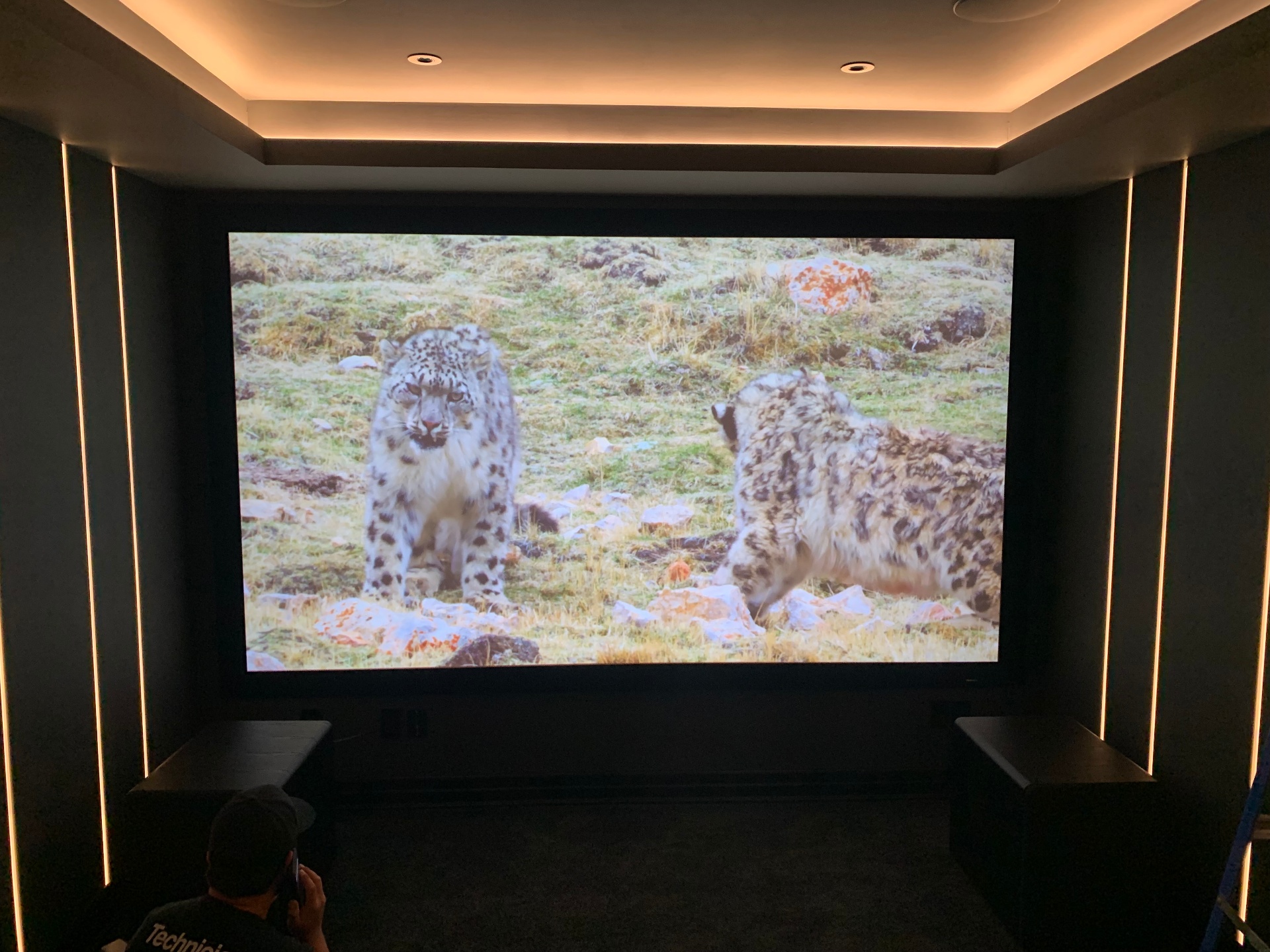 Projector on screen showing reference-quality 4K image in finished cinema